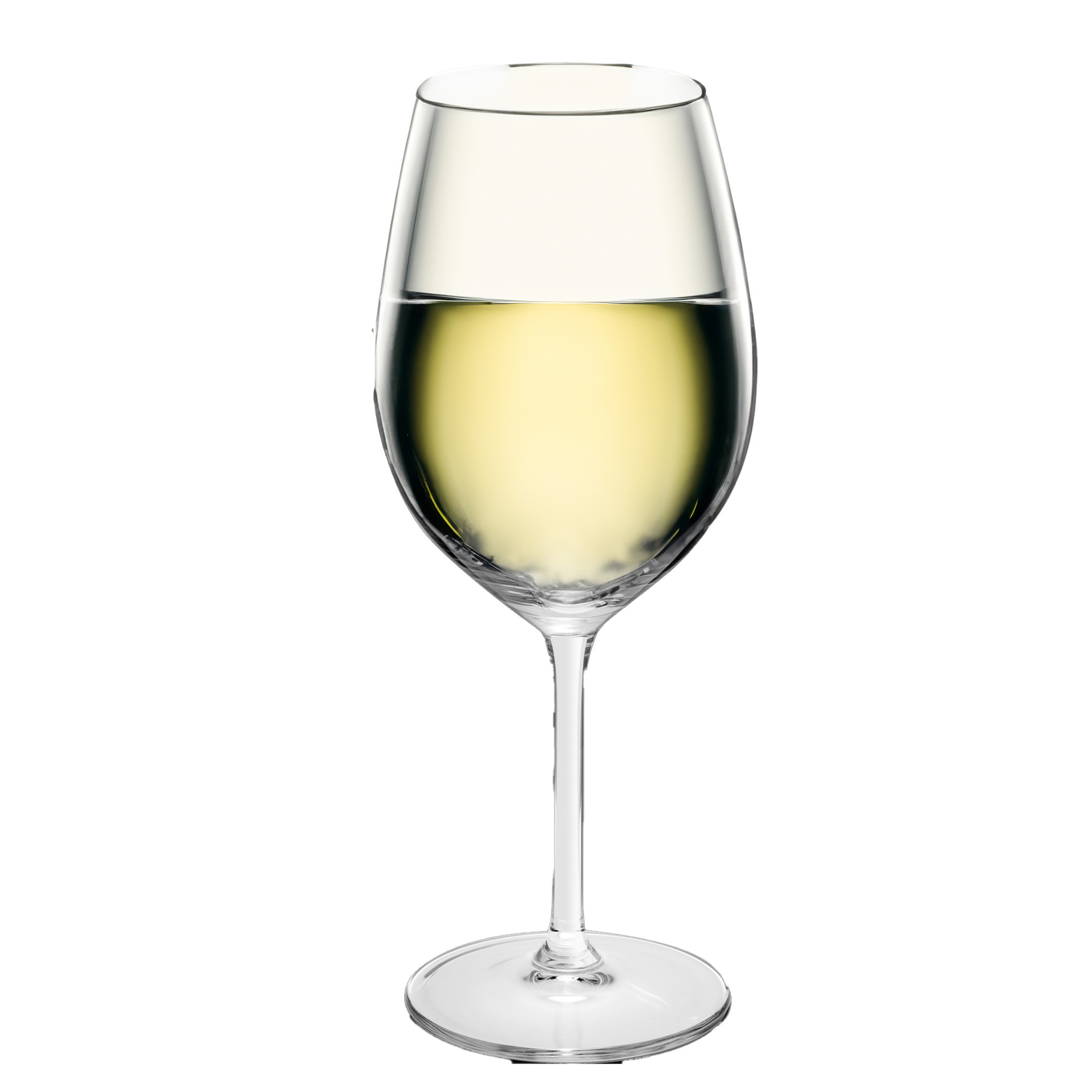 6x Luxe wijnglazen voor witte wijn 320 ml Esprit met maataanduiding