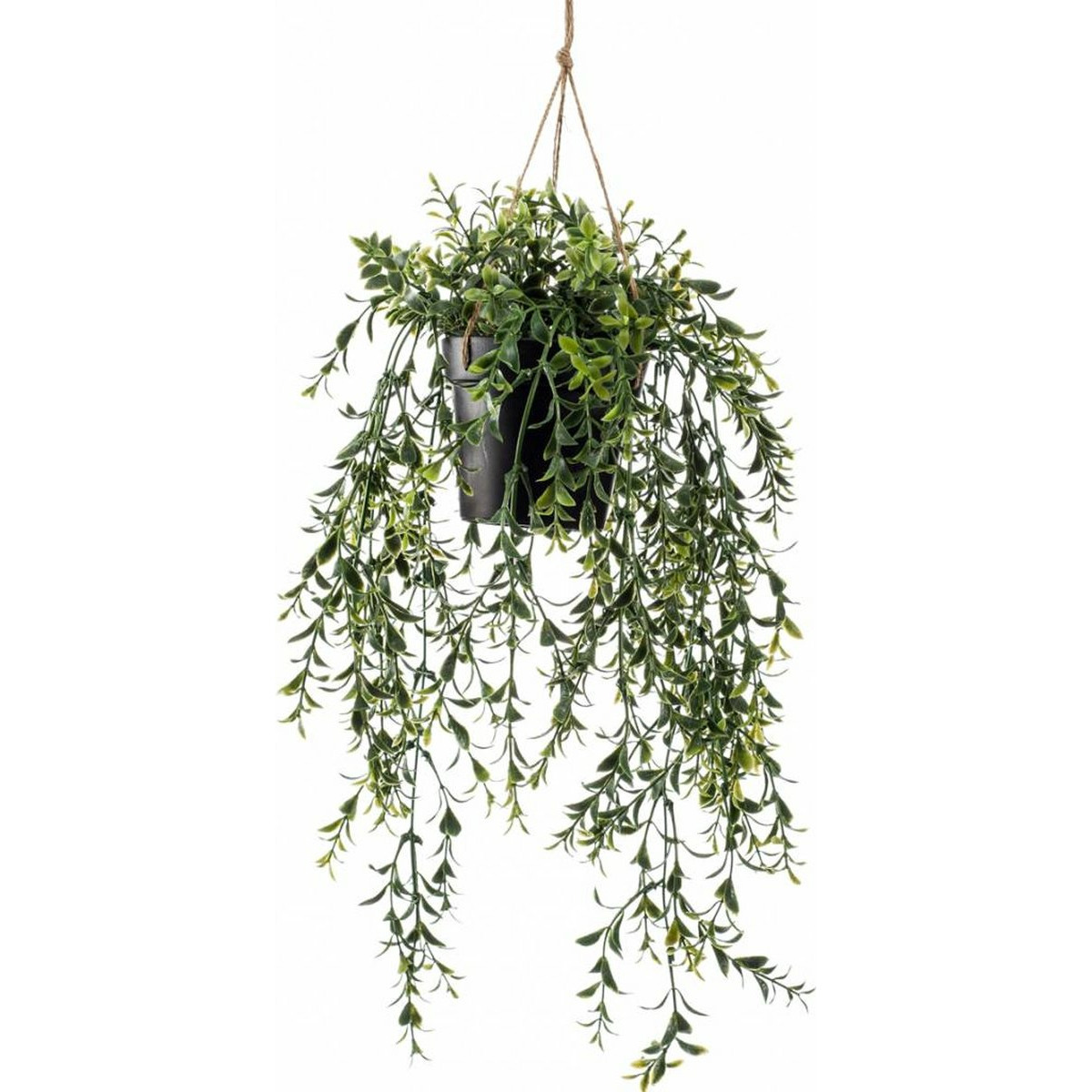 Emerald kunstplant-hangplant in pot Buxus groen 50 cm lang