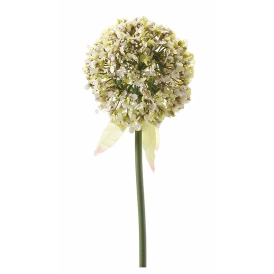 Kunstbloem Sierui-Allium wit 70 cm