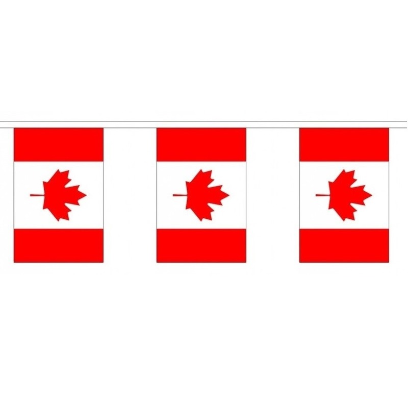 Luxe Canadese vlaggenlijn 3 meter
