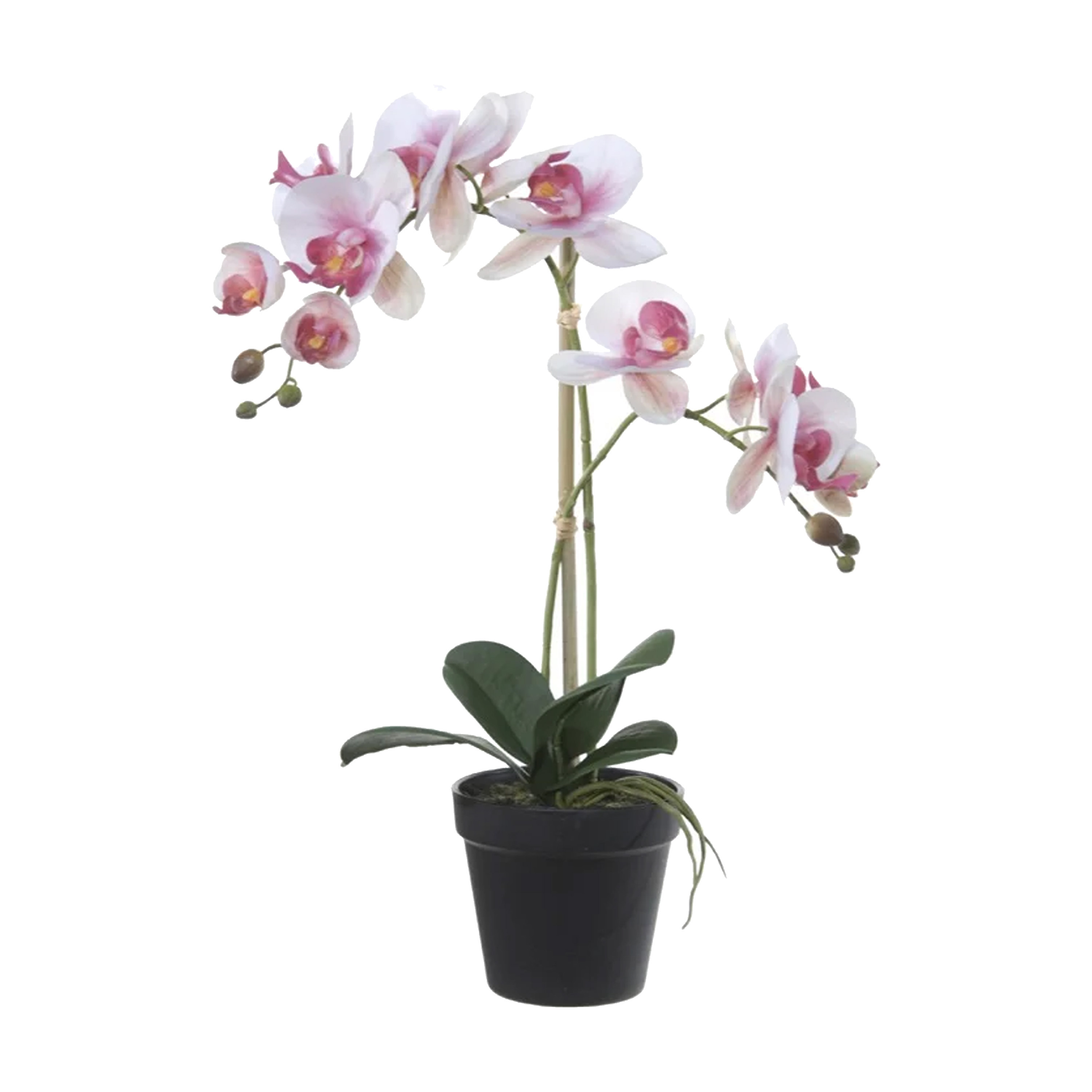 Orchidee bloemen kunstplant in pot bloemen-bloemetjes wit-roze-groen H52 cm