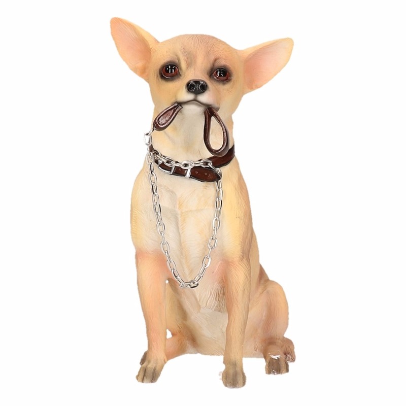 Polystone beeld Chihuahua hond met riem 18 cm