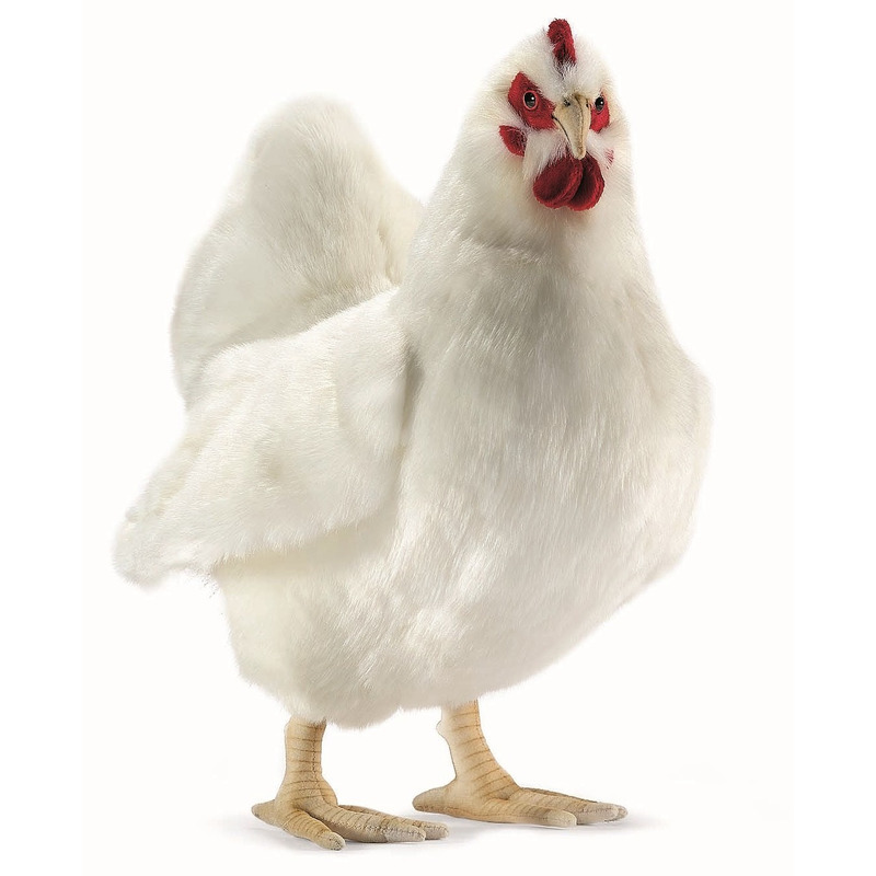 Witte luxe kippen knuffel van 40 cm