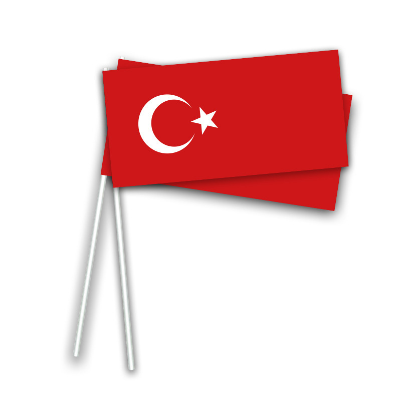 Zwaai-hand vlaggetjes Turkije 50x stuks 21 x 12 cm