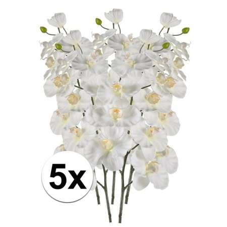 Witte Phalaenopsis op steel 100 cm 5 stuks