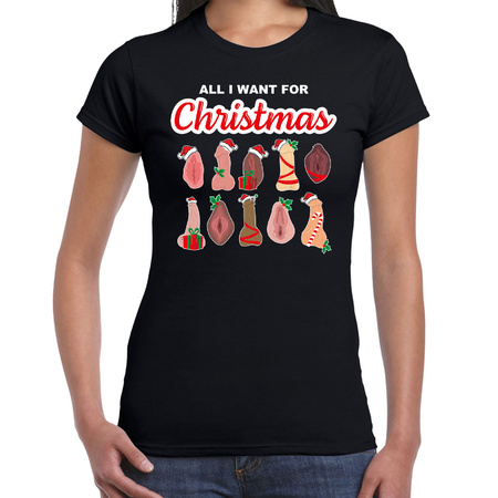 Foute kersttrui/t-shirt dames - All I want for Christmas - piemel/vagina - zwart