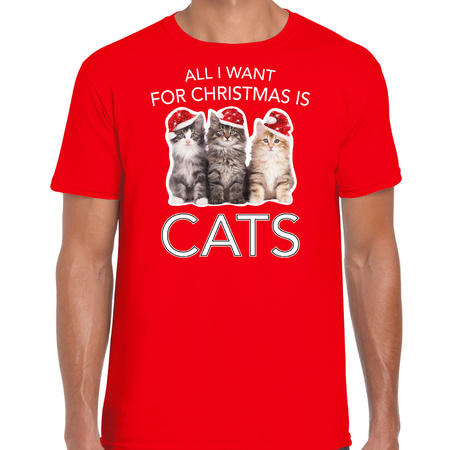 Kitten Christmas t-shirt All i want for Christmas is cats red for men